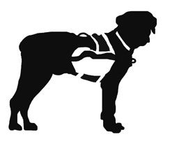 AcustomCatahoulasmall