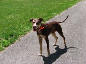 Ranger May 9 2010 D