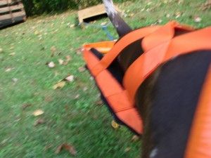 RangerWP01