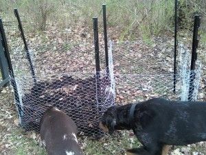 compost bin