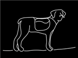 crazy-dog-black