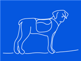 crazy-dog-blue