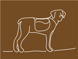 crazy-dog-brown