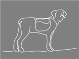 crazy-dog-dkgray