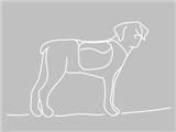 crazy-dog-gray
