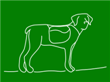 crazy-dog-green