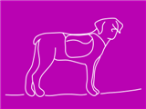 crazy-dog-purple