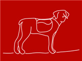 crazy-dog-red