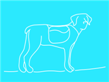 crazy-dog-teal