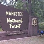 mnfroadside1