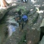 nctbeauonbridge1