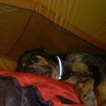 potosleep1