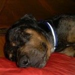 potosleep2