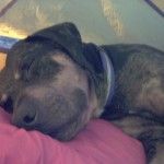 potosleep3