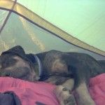 potosleep4