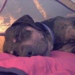 potosleep5